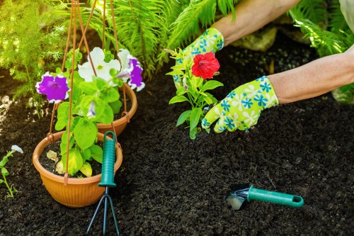 Choosing the right lawn mowing service in Dee Why
