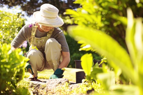 Professional lawn mowing service in Geebung