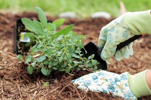 Healthy green lawn maintained by experts