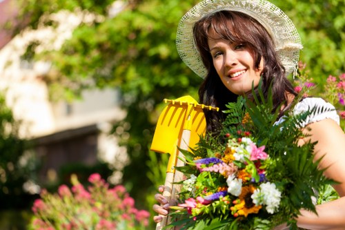 Top-quality lawn care equipment for mowing