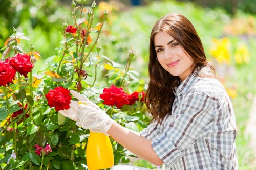 Zara Gardeners team performing garden clearance