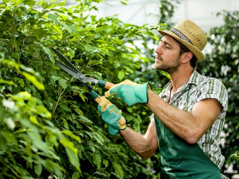 Eco-friendly lawn mowing practices