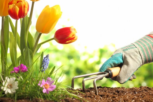 Eco-friendly lawn mowing practices