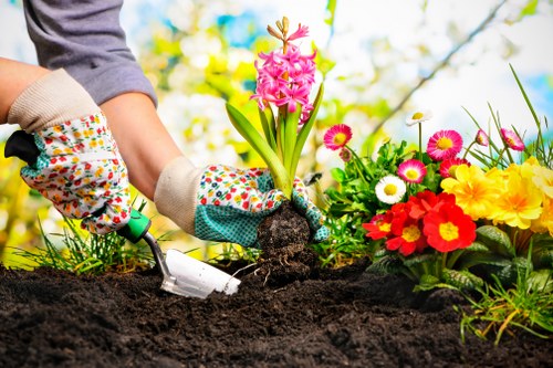 Healthy green lawn maintained by Zara Gardeners