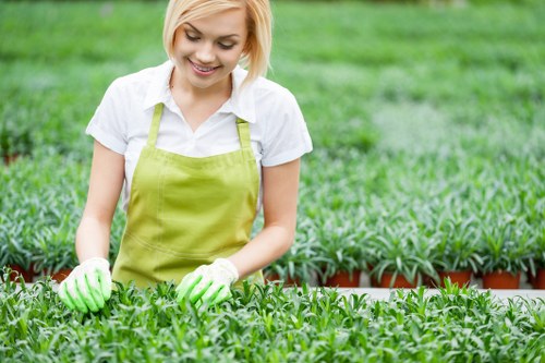 Seasonal lawn care practices for South Fremantle